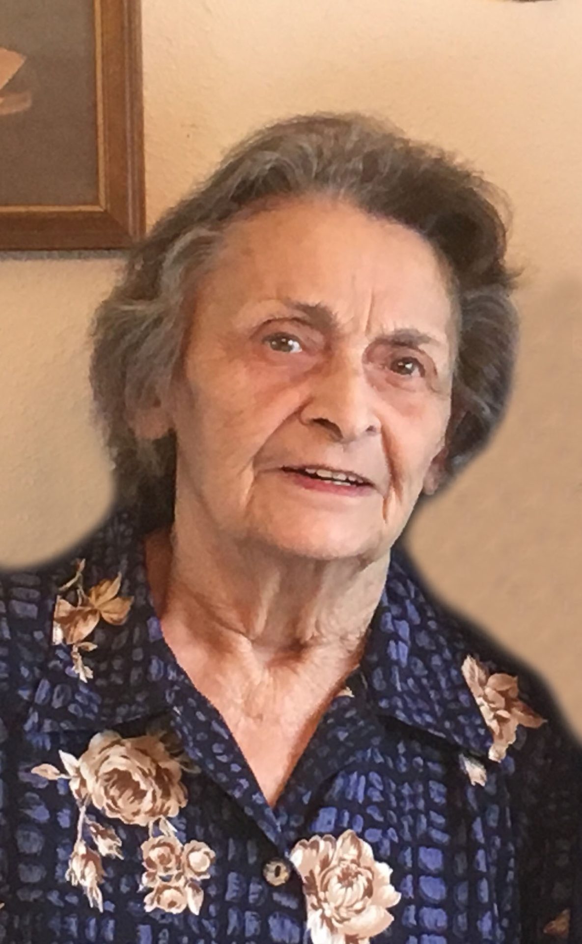 margaret pronovost