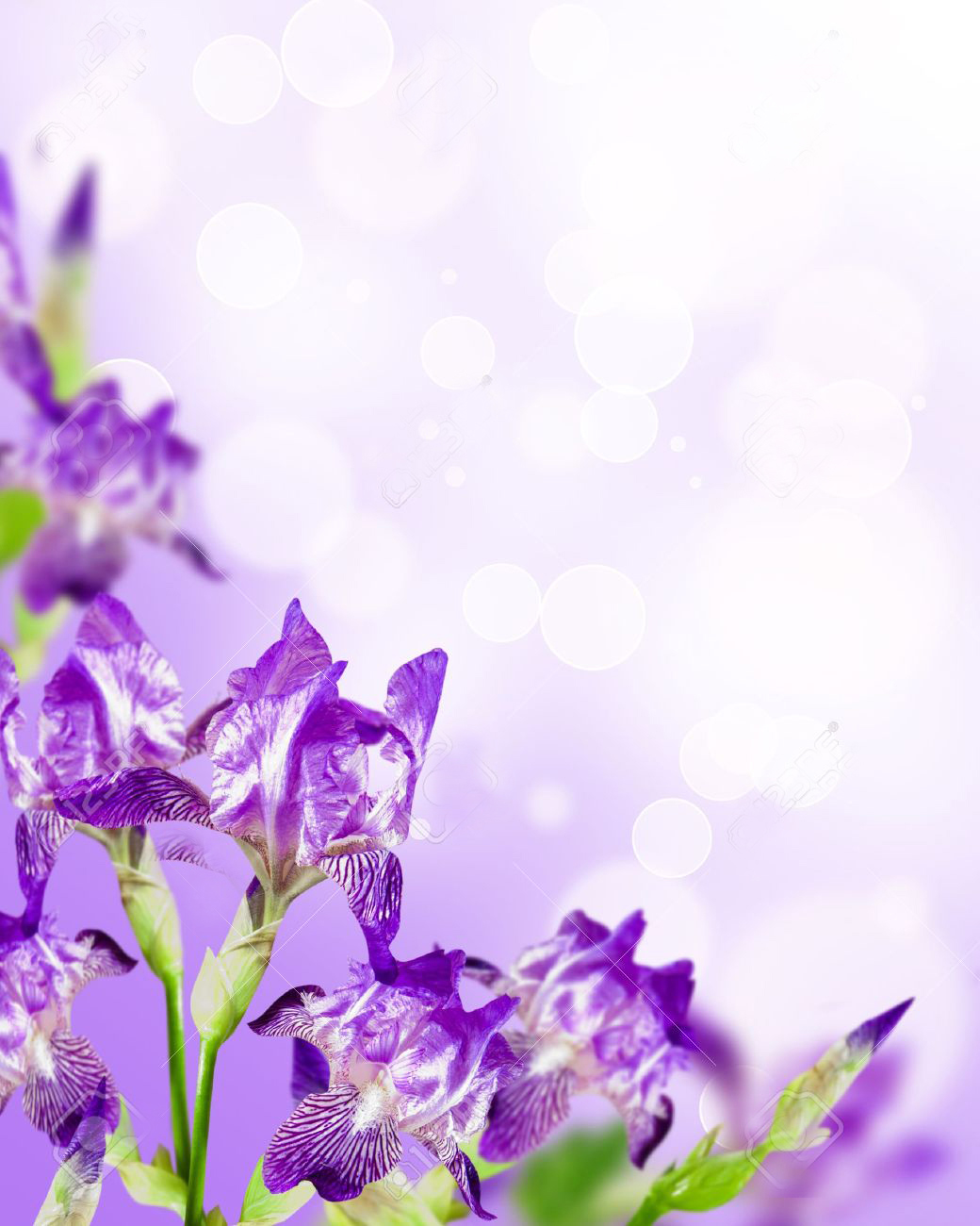 cleomene tisma-castin