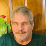 dana mcfarlane Gallery