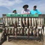 dana mcfarlane Gallery