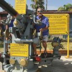 dana mcfarlane Gallery