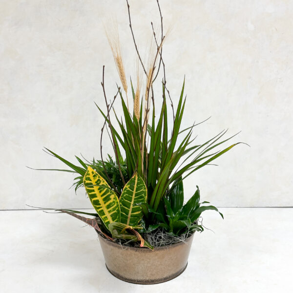 Rustic Dish Garden