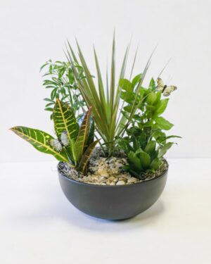 Tranquil Dish Garden