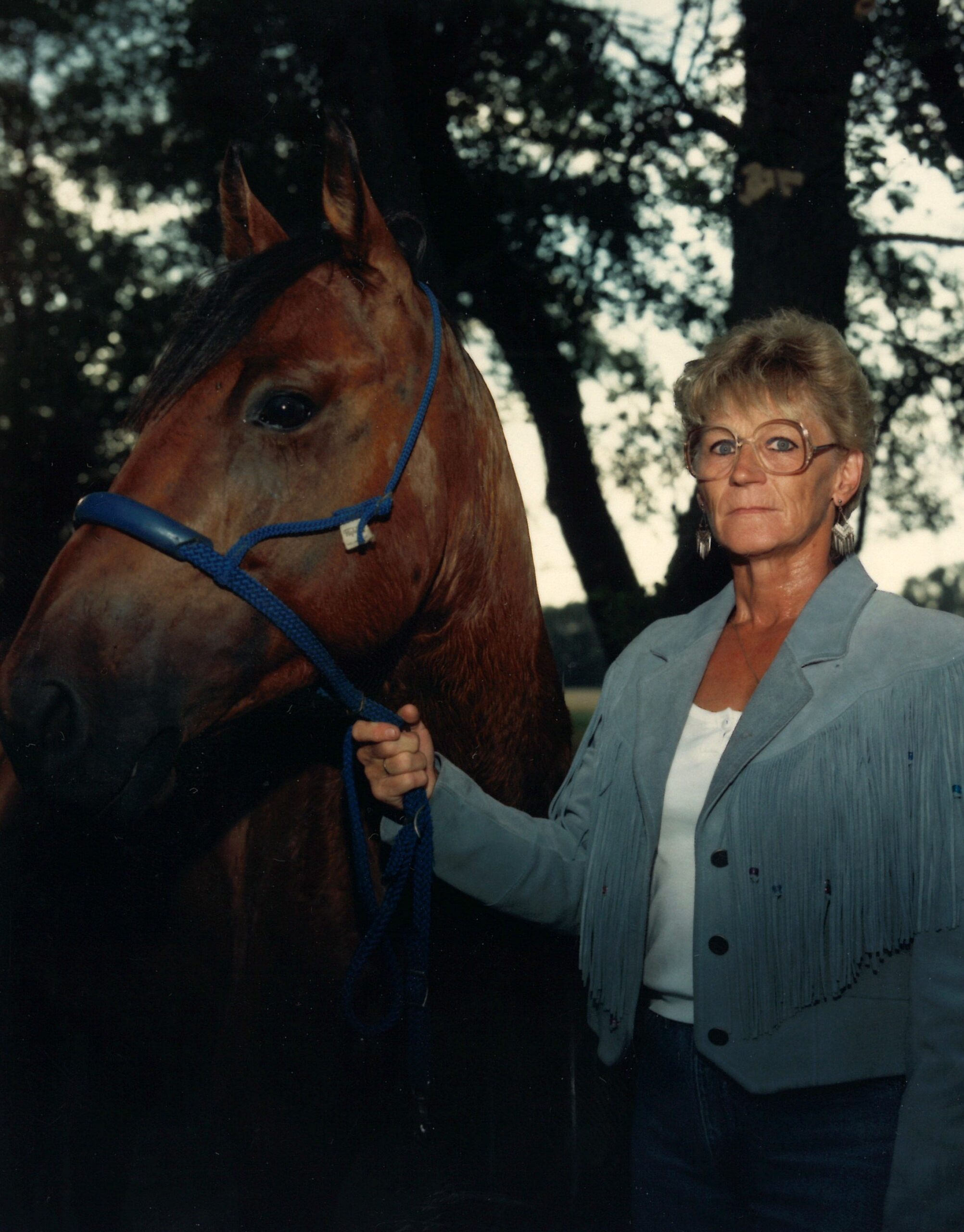 shirley donovan